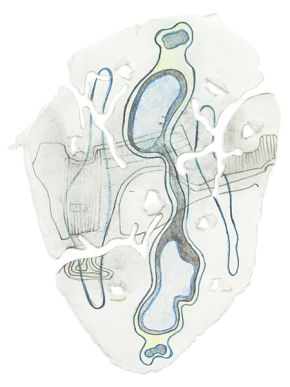 zellteilung | 2003 | 20 x 14 cm | Blei- und Buntstift auf Papier