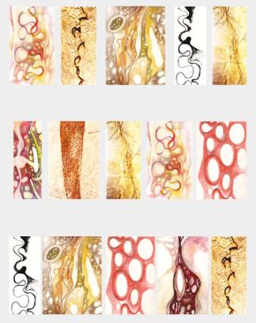 matrix | 2001 | Zeichnungen und Fotos