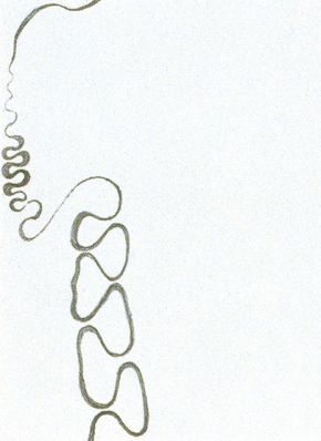 skizze | 2000/01 | 19,5 x 15 cm | Stifte auf Papier