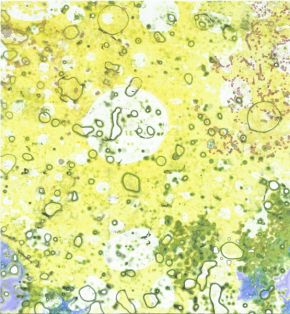 belebt/pulsieren/verbinden/leere/fülle | 2011/2012 | videostill | animierte Zeichnungen