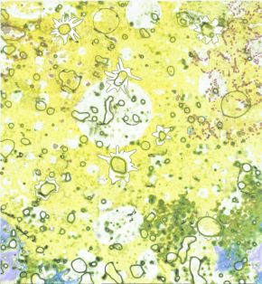 belebt/pulsieren/verbinden/leere/fülle | 2011/2012 | videostill | animierte Zeichnungen