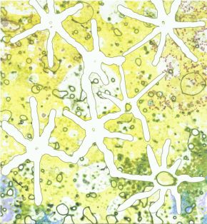 belebt/pulsieren/verbinden/leere/fülle | 2011/2012 | videostill | animierte Zeichnungen