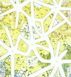 belebt/pulsieren/verbinden/leere/fülle | 2011/2012 | videostill | animierte Zeichnungen